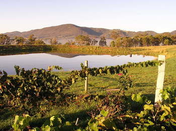 Forrest Hills Ridge - Accommodation Noosa 9