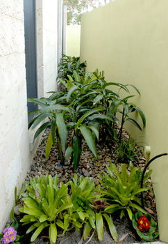 By The Beach B&B And Apartments - Accommodation Noosa 5