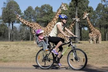 Zoofari Lodge, Taronga Western Plains Zoo - Accommodation Noosa 7