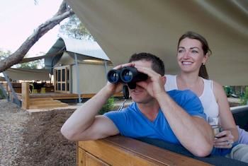 Zoofari Lodge, Taronga Western Plains Zoo - Accommodation Noosa 12