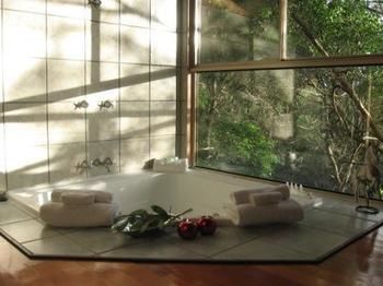 Belle's At Montville - Accommodation Noosa 13