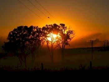 Lochinvar House B&B - Accommodation Noosa 2