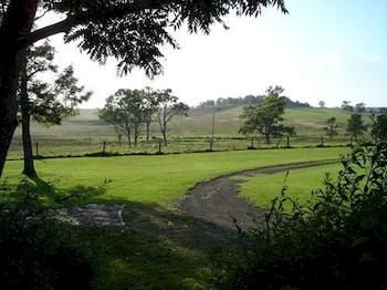 Lochinvar House B&B - Accommodation Noosa 8