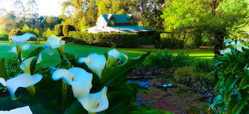Gracehill - Accommodation Noosa 19