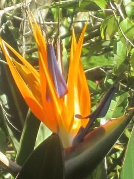 Sunshine Valley Cottages - Accommodation Noosa 1