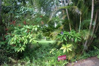 Sunshine Valley Cottages - Accommodation Noosa 8