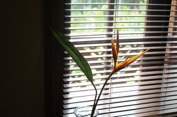 Sunshine Valley Cottages - Accommodation Noosa 14