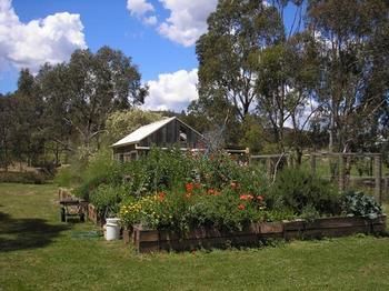 The Burrow At Wombat Bend - Accommodation Noosa 4