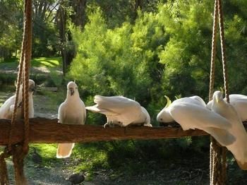 The Burrow At Wombat Bend - Accommodation Noosa 5