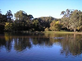 The Burrow At Wombat Bend - Accommodation Noosa 7