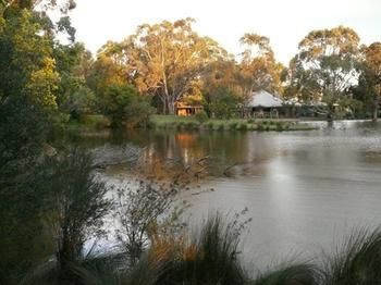 The Burrow At Wombat Bend - Accommodation Noosa 9