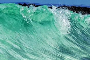Bella Villas Of Jervis Bay - Accommodation Noosa 10