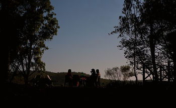Ferndale - Accommodation Noosa 6