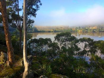 Ferndale - Accommodation Noosa 9