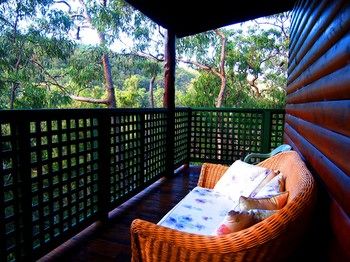 Ferndale - Accommodation Noosa 17