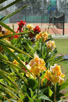 Morpeth Lodge Motel - Accommodation Noosa 11