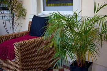 Carlton Terrace - Accommodation Noosa 7