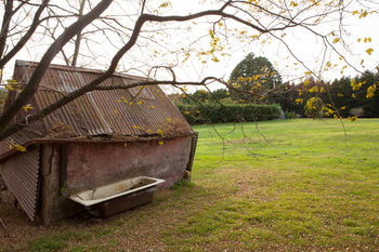 Seclusions Blue Mountains - Accommodation Noosa 10