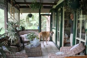 Hamilton Heritage B&B - Accommodation Noosa 2