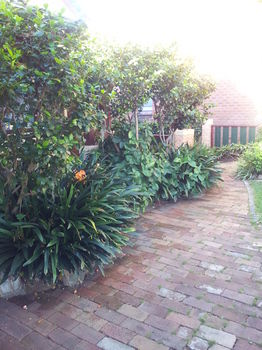 Hamilton Heritage B&B - Accommodation Noosa 14