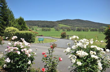 Langbrook Estate Cottages - Accommodation Noosa 15