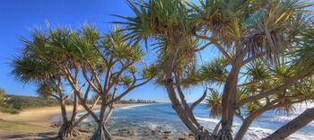 Alex Beach Cabins - Accommodation Noosa 1