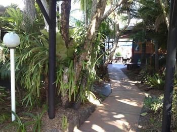 Noosa Backpackers Resort - Hostel - Accommodation Noosa 15