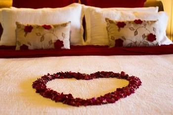 Montville Misty View Cottages - Accommodation Noosa 10