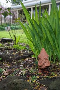 Holly Lane Mews - Accommodation Noosa 4