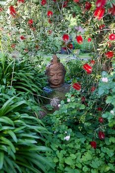 Holly Lane Mews - Accommodation Noosa 37