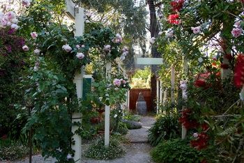 Holly Lane Mews - Accommodation Noosa 40