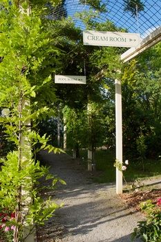 Holly Lane Mews - Accommodation Noosa 45