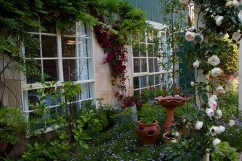 Holly Lane Mews - Accommodation Noosa 46