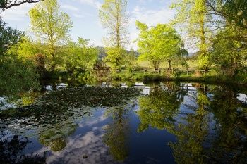 Holly Lane Mews - Accommodation Noosa 58