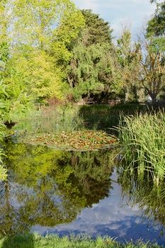 Holly Lane Mews - Accommodation Noosa 59