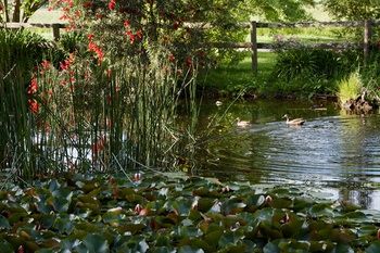 Holly Lane Mews - Accommodation Noosa 61