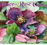 A Winter-rose Cottage BampB - Accommodation Noosa