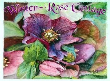 A Winter-rose Cottage B&B - Accommodation Noosa 0
