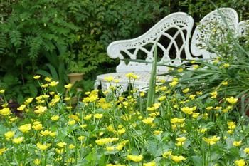 A Winter-rose Cottage B&B - Accommodation Noosa 4