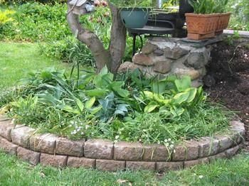 A Winter-rose Cottage B&B - Accommodation Noosa 6