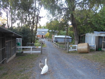 A Twist Of Willow - Accommodation Noosa 21