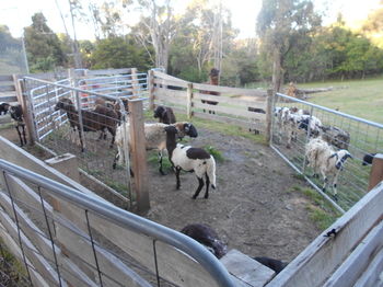 A Twist Of Willow - Accommodation Noosa 27