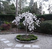 Corner Manor Leura - Accommodation Noosa