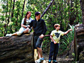 Tahune Airwalk Lodge - Accommodation Noosa 0