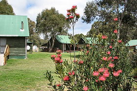 Dee TAS Accommodation Noosa