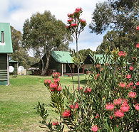 Derwent Bridge Chalets  Studios - Accommodation Noosa