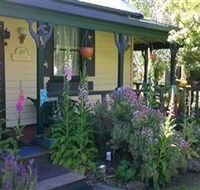 Blue Wren Riverside Cottage - Accommodation Noosa