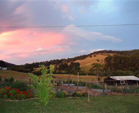 Ashdowns Of Dover Bed And Breakfast - Accommodation Noosa 4