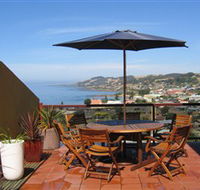 High On Penguin - Accommodation Noosa