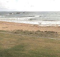 Penguin Caravan Park - Accommodation Noosa
